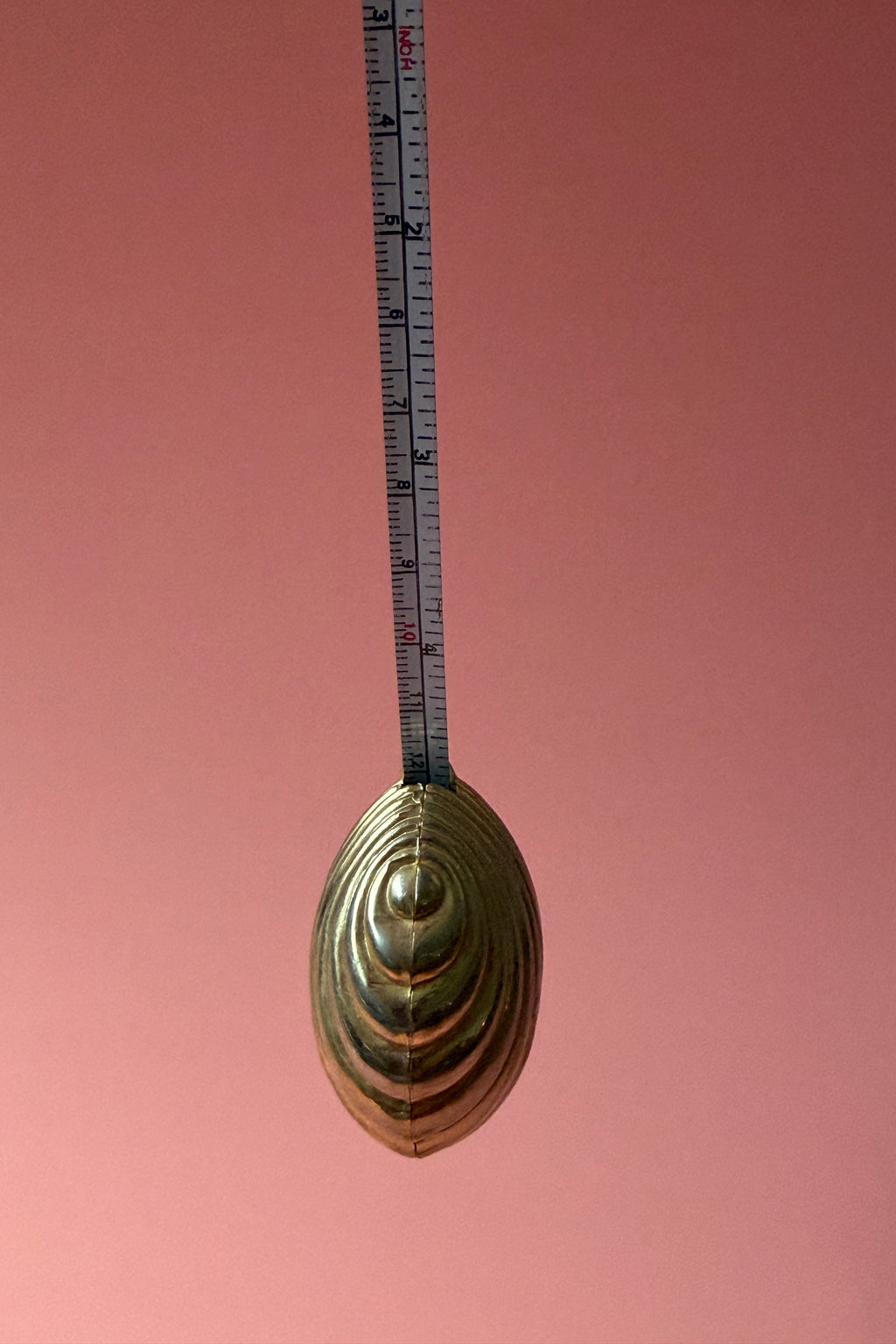 .017 Vintage Seashell Measuring Tape