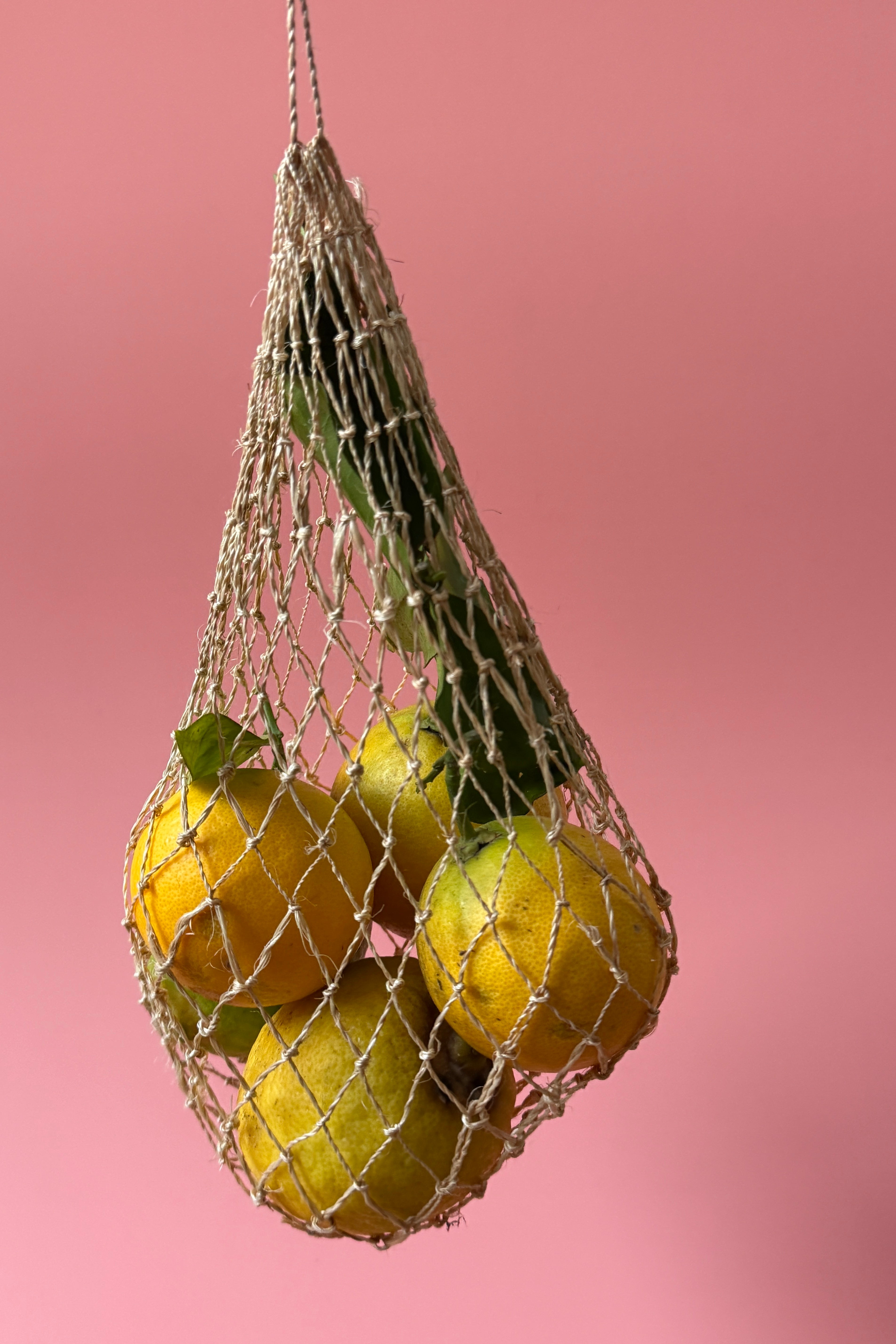 .001 The Bohhaus Net-cessity